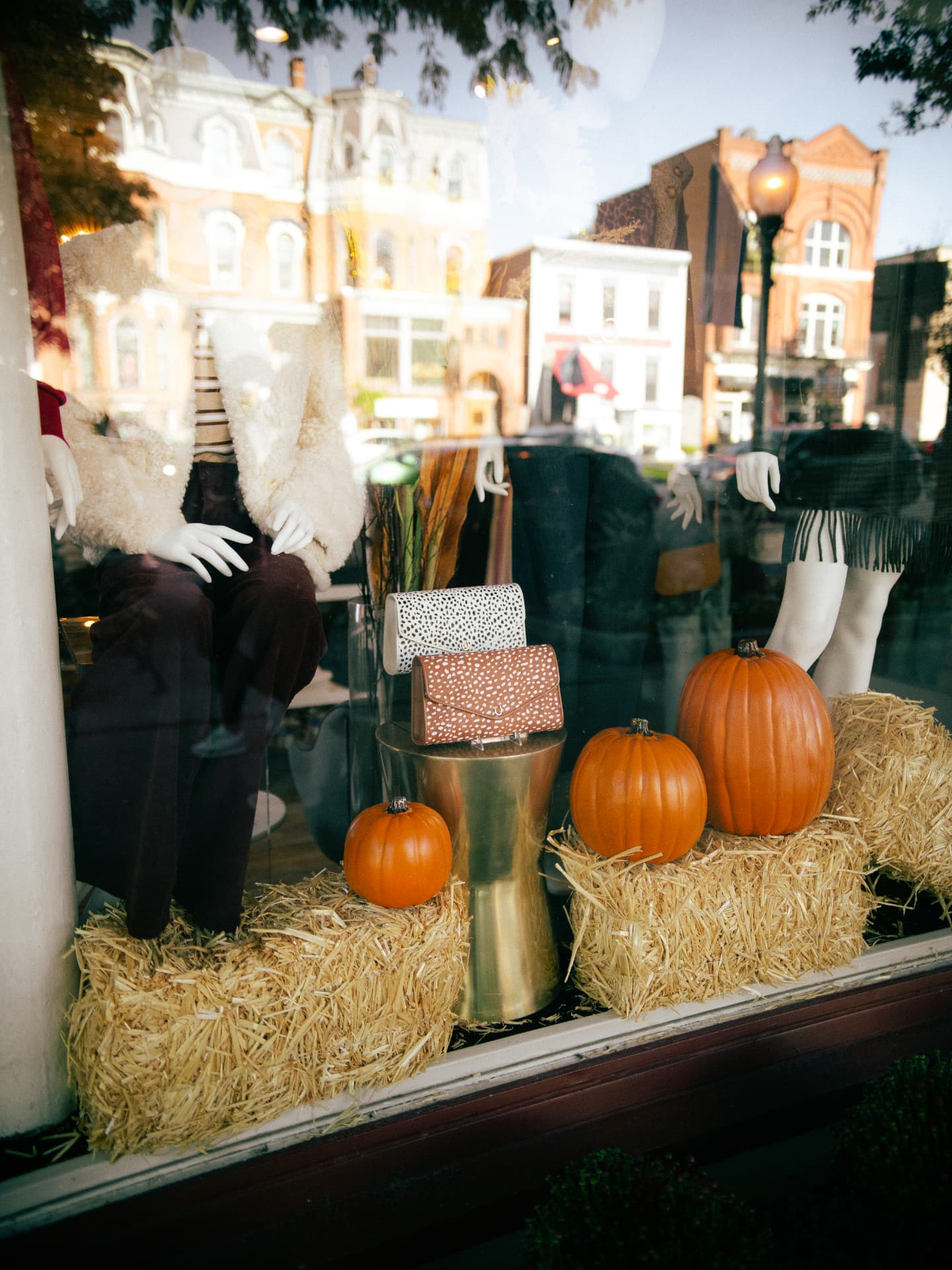 Violet's of Saratoga fall window display featuring Signature Horsehair Clutches